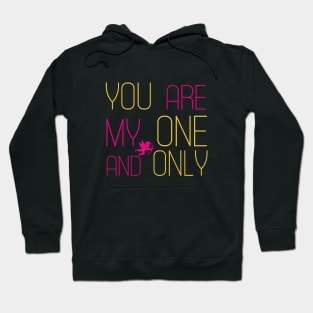 Funny valentines day cute design for couples My one and only Hoodie